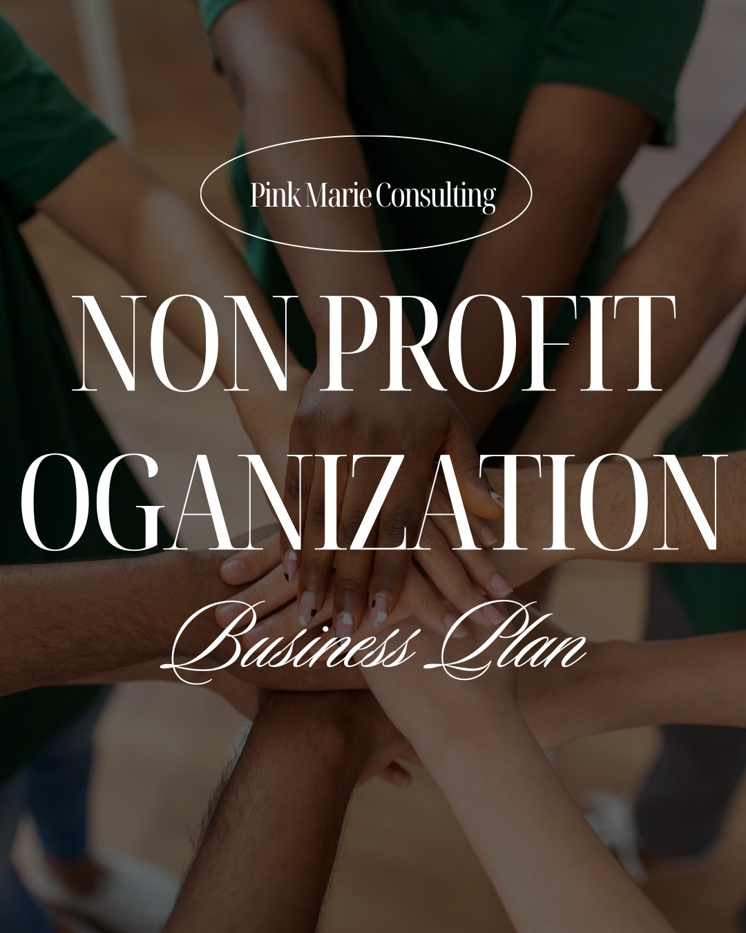 NON-PROFIT ORGANIZATION BUSINESS PLAN