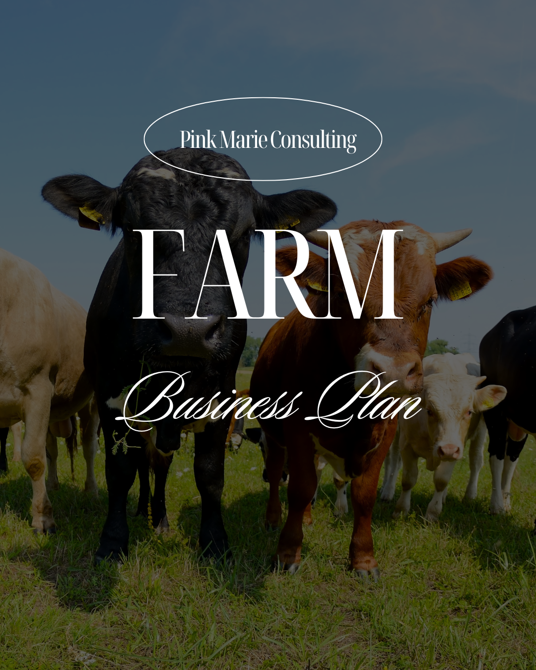 FARM BUSINESS PLAN