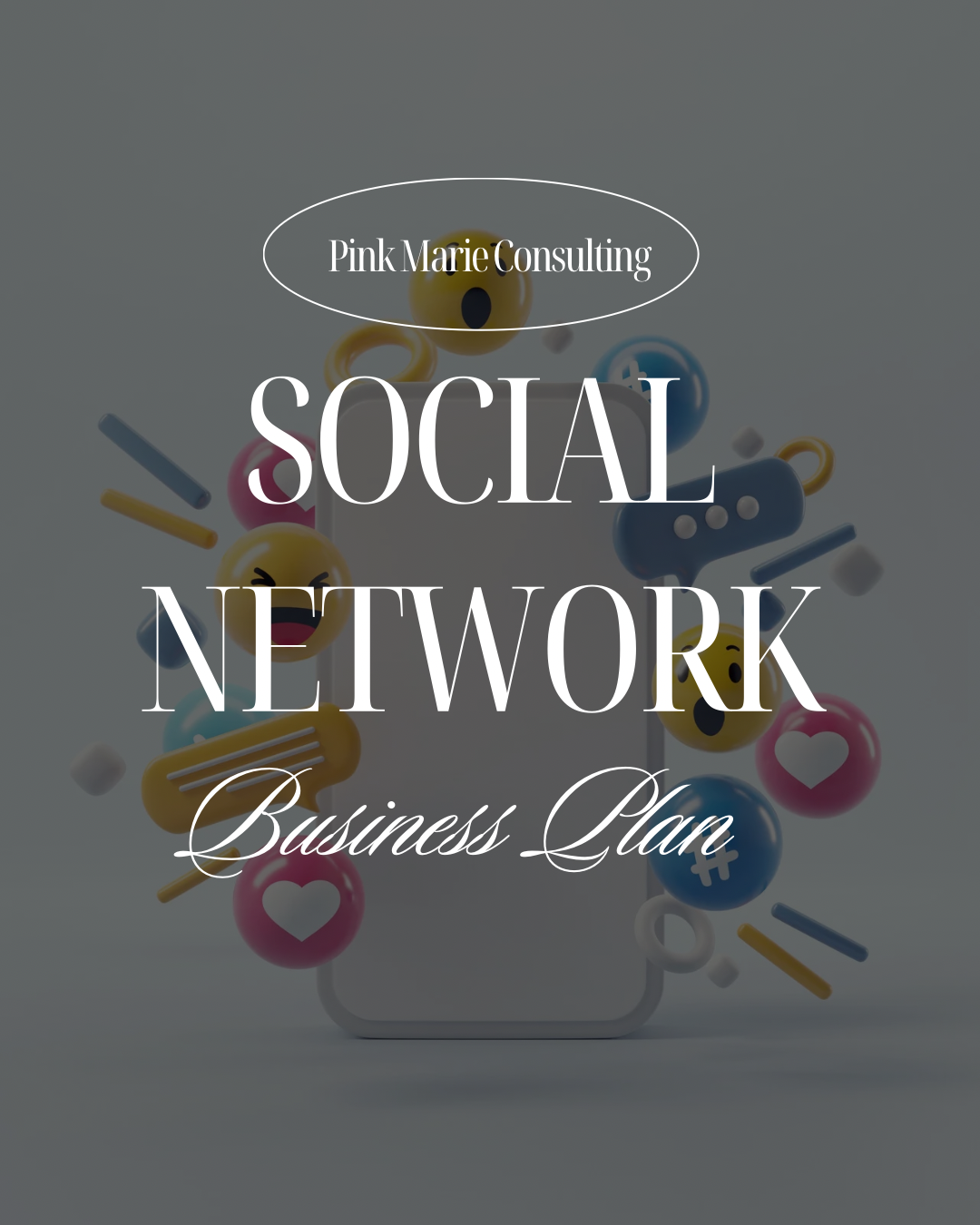 SOCIAL NETWORK COMPANY BUSINESS PLAN
