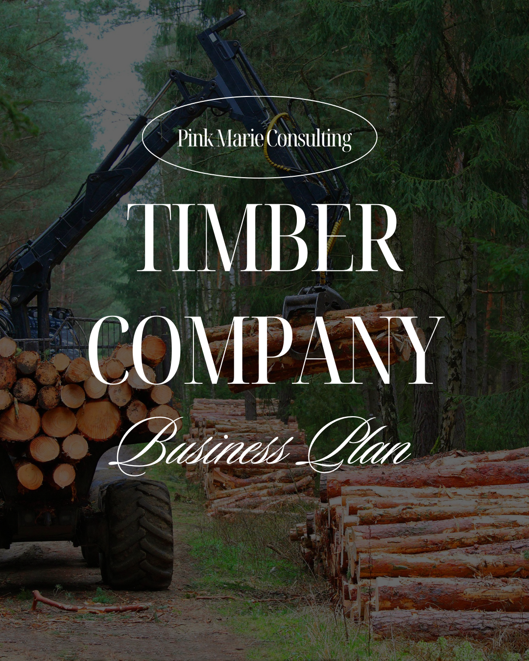 TIMBER COMPANY BUSINESS PLAN
