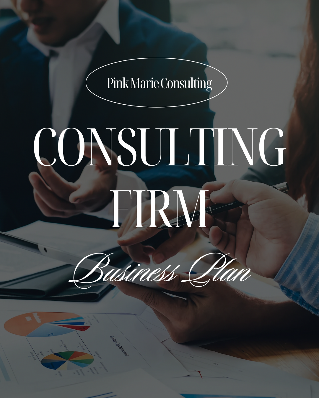 CONSULTING FIRM BUSINESS PLAN