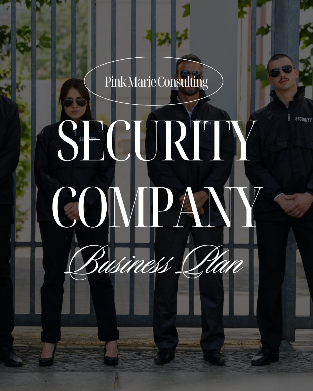 SECURITY COMPANY BUSINESS PLAN